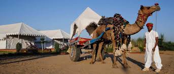 Camel Safari Pushkar