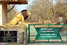 Gir National Park Gujarat – Asiatic lions and wildlife sanctuary
