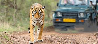 Jim Corbett National Park