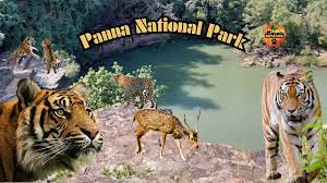 Panna National Park en route to Khajuraho