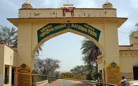 Wildlife and forest scenery in Sariska National Park